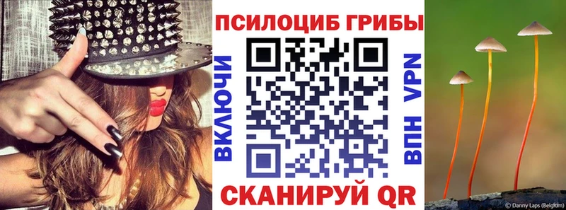Псилоцибиновые грибы прущие грибы  сколько стоит  Цимлянск 